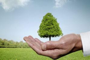 Une action citoyenne : "50 millions d'arbres" Une action citoyenne : "50 millions d'arbres"