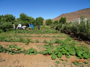 Produire mieux, produire plus Produire mieux, produire plus