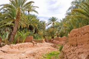 Le tourisme, levier de sauvegarde des oasis