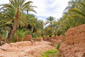 Le tourisme, levier de sauvegarde des oasis Le tourisme, levier de sauvegarde des oasis