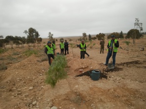Création de ceintures vertes Création de ceintures vertes