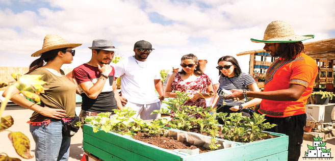 Des jardins sur les toits