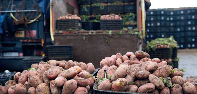 Les grossistes gardent le moral Les grossistes gardent le moral