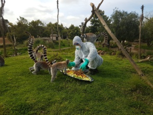 Le zoo de Rabat aux petits soins pour ses animaux Le zoo de Rabat aux petits soins pour ses animaux