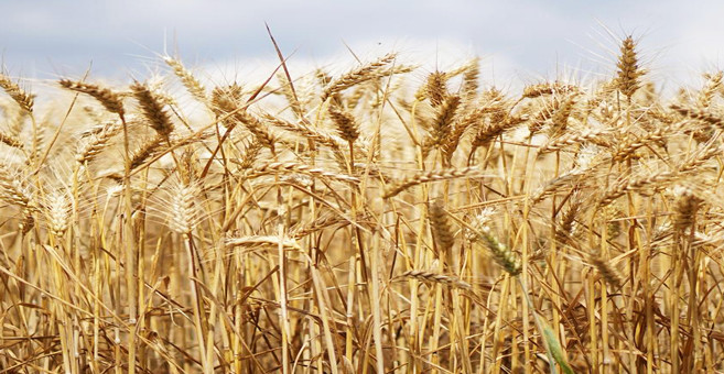 Le CIC anticipe un record en 2020-2021 Le CIC anticipe un record en 2020-2021