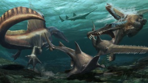 Une nouvelle étude démontre que le spinosaure était aquatique