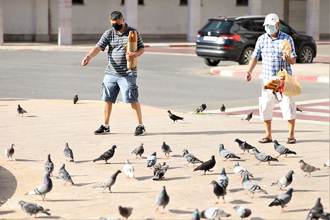 Les R’batis prennent soin de nourrir les pigeons