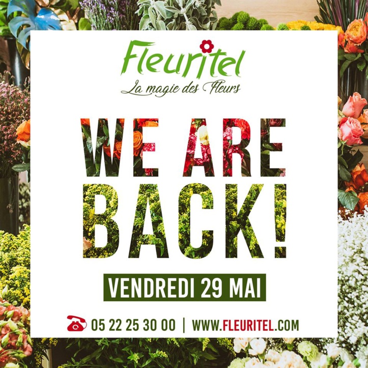 Fleuritel reprend du service: Flower Power à volonté et sur commande Fleuritel reprend du service: Flower Power à volonté et sur commande