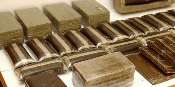 Trafic de drogue : Interpellation de quatre individus à Tan-Tan Trafic de drogue : Interpellation de quatre individus à Tan-Tan