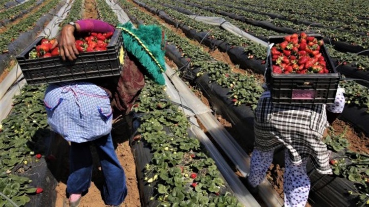 Coronavirus : Ce foyer de contamination qui gonfle les chiffres Coronavirus : Ce foyer de contamination qui gonfle les chiffres