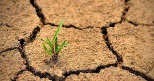 Journée internationale de lutte contre la désertification: Le Maroc soutient la gestion durable des terres Journée internationale de lutte contre la désertification: Le Maroc soutient la gestion durable des terres