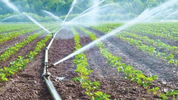 Marrakech-Saf : L’agriculture, secteur hautement «réactif» et «résilient» Marrakech-Saf : L’agriculture, secteur hautement «réactif» et «résilient»