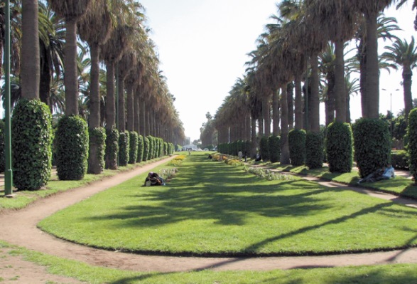 Casablanca réouvre son "poumon vert"