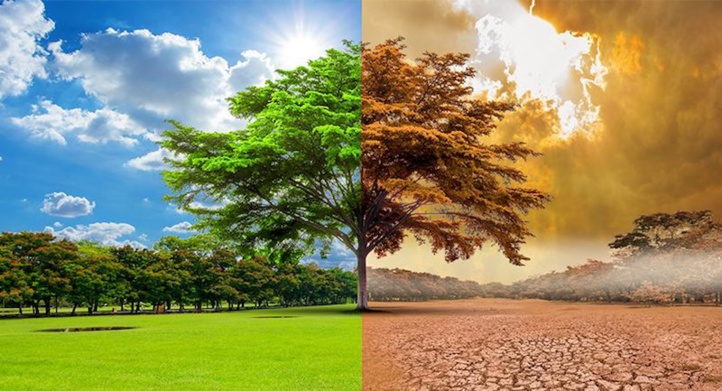 Le changement de paradigme de la CEA-ONU Le changement de paradigme de la CEA-ONU