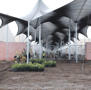 Développement durable : Les changements climatiques au cœur de la Journée internationale des coopératives Développement durable : Les changements climatiques au cœur de la Journée internationale des coopératives