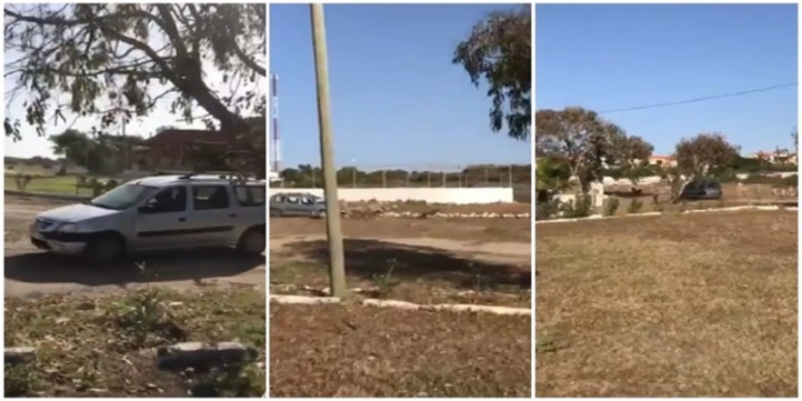 Affaire du massacre des moutons : Michel S contre-attaque Affaire du massacre des moutons : Michel S contre-attaque