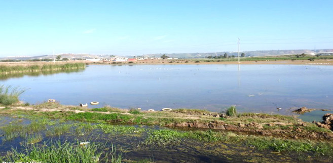 Environnement : Dernières tentatives pour sauvegarder l’unique zone humide de Rabat