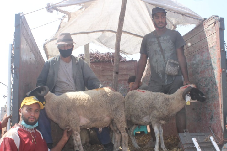 Les petits métiers de l'Aid Al-Adha fleurissent à nouveau