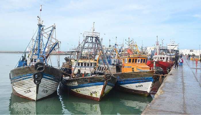 Laâyoune: Les pêcheurs de poulpe soumis aux tests de dépistage avant la reprise