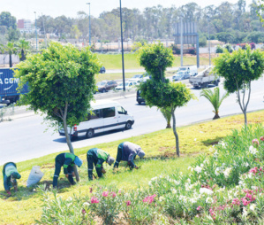 Casablanca : Une nouvelle vie pour les jardins de la métropole