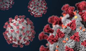 Covid-19 : Découverte d’un peptide qui empêcherait l’infection des cellules pulmonaires Covid-19 : Découverte d’un peptide qui empêcherait l’infection des cellules pulmonaires