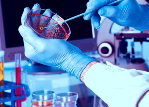 Saturation des hôpitaux en période de Covid  : Les réanimations à la merci des infections nosocomiales