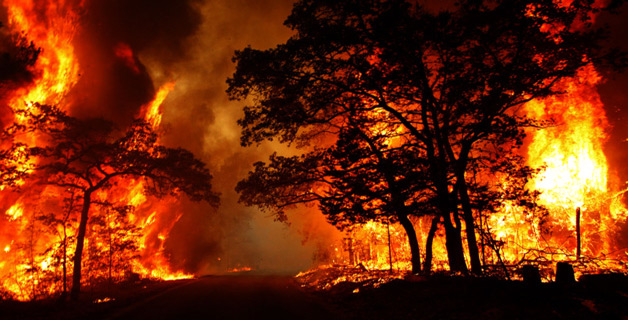 Environnement : Neutralisation du plus grand feu de forêt de l’année Environnement : Neutralisation du plus grand feu de forêt de l’année