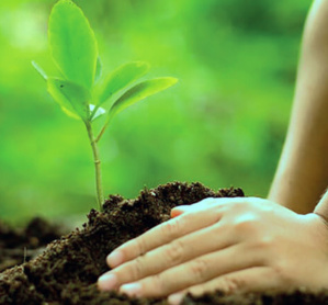 Midelt : une initiative pour accompagner les jeunes dans le domaine de l’entrepreneuriat vert Midelt : une initiative pour accompagner les jeunes dans le domaine de l’entrepreneuriat vert