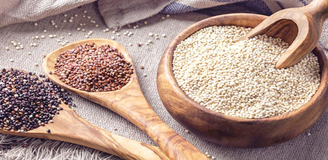 Youssoufia & Rehamna :  Soutien consistant aux producteurs du quinoa