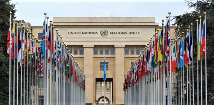 Le Maroc élu au Comité des Nations-Unies sur les droits économiques, sociaux et culturels Le Maroc élu au Comité des Nations-Unies sur les droits économiques, sociaux et culturels