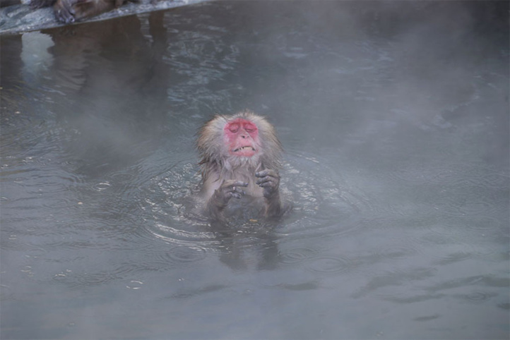 Besoin d'urgence d'une manucure Besoin d'urgence d'une manucure