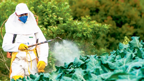 Greenpeace : Le Maroc importe des pesticides européens proscrits par l’UE