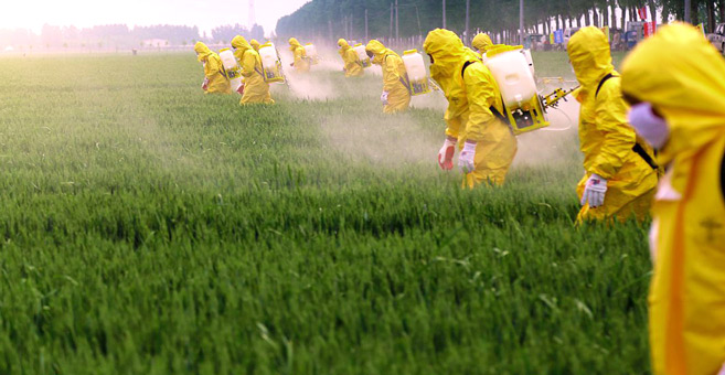 Importation de pesticides interdits : le duel entre l’ONSSA et Greenpeace Importation de pesticides interdits : le duel entre l’ONSSA et Greenpeace