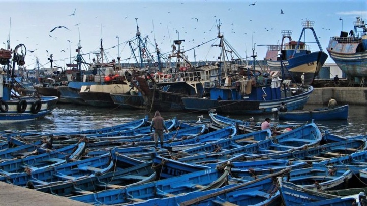 Vaste opération de désinfection du port d'Essaouira Vaste opération de désinfection du port d'Essaouira