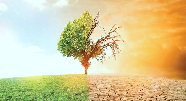 Tanger : Vers la création de la Maison méditerranéenne du climat Tanger : Vers la création de la Maison méditerranéenne du climat