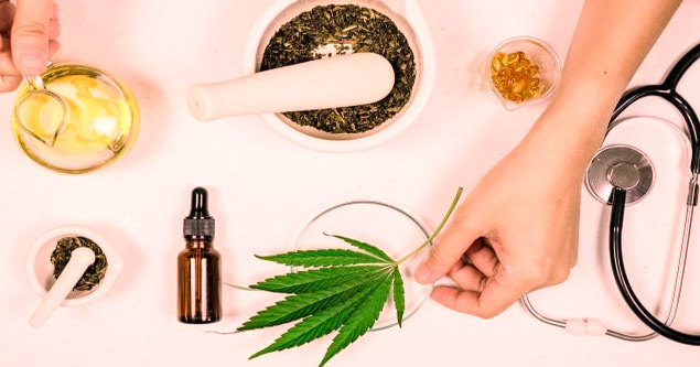 L’huile de CBD : la substance bienfaisante du cannabis L’huile de CBD : la substance bienfaisante du cannabis