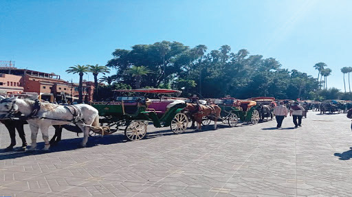 Marrakech : Balade en calèches pour relancer le tourisme Marrakech : Balade en calèches pour relancer le tourisme
