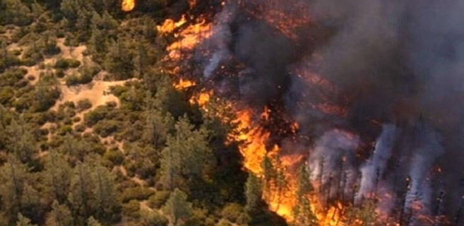 Syrie : Des feux de forêt font rage sur tout le littoral Syrie : Des feux de forêt font rage sur tout le littoral