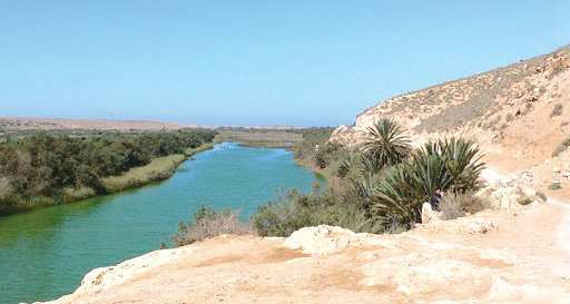 Souss-Massa / Parc national : Espace éco-biologique riche d’atouts touristiques