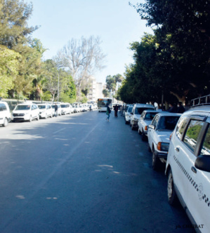 Rabat : Les grands taxis de l’Avenue Mansour Eddahbi en rang discipliné Rabat : Les grands taxis de l’Avenue Mansour Eddahbi en rang discipliné