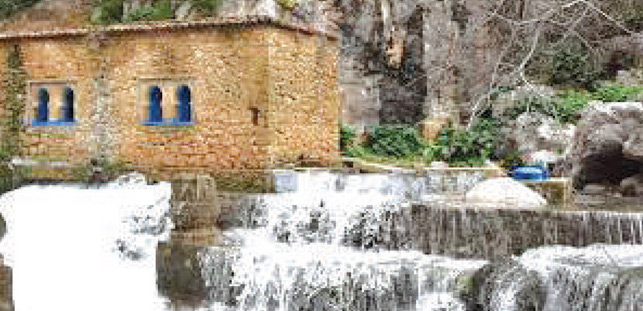 Chefchaouen : Des liens entre l’agriculture et le tourisme rural