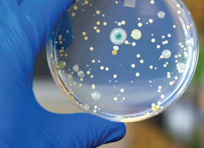 Plaidoyer pour la synergie des approches sanitaires Plaidoyer pour la synergie des approches sanitaires