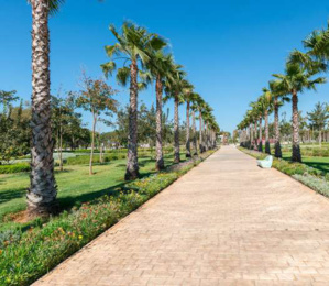 Environnement : Rabat trouve des solutions pour ses espaces verts