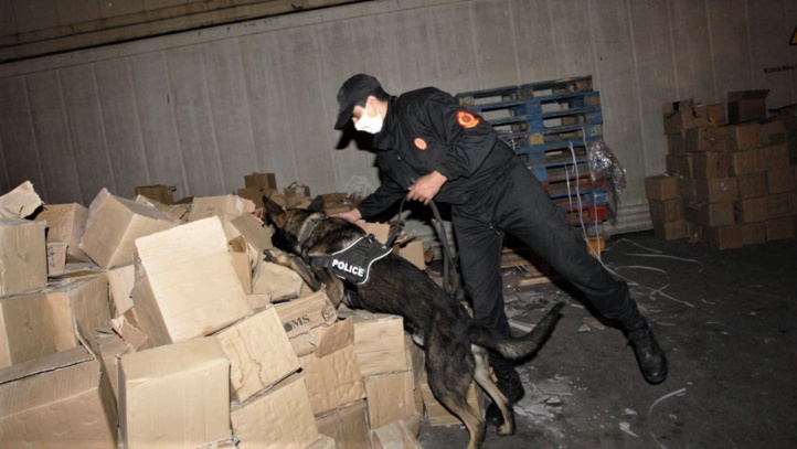 Port de Casablanca : saisie de plus de 1,2 tonne de chira (Photos) Port de Casablanca : saisie de plus de 1,2 tonne de chira (Photos)