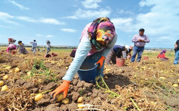 Khénifra : Aspiration à valoriser les produits agricoles de qualité