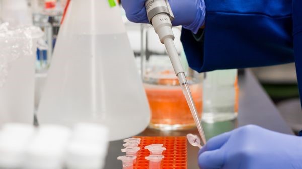 Covid-19: le traitement aux anticorps de Regeneron autorisé aux Etats-Unis Covid-19: le traitement aux anticorps de Regeneron autorisé aux Etats-Unis