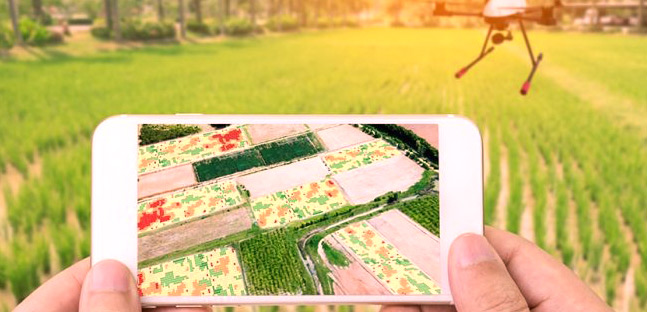 Numérisation : Désormais, l’agriculture se conjugue au digital