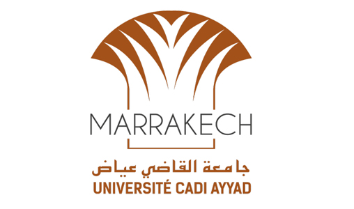 Marrakech : Conférence internationale sur les mécanismes répressifs de lutte contre le blanchiment d'argent Marrakech : Conférence internationale sur les mécanismes répressifs de lutte contre le blanchiment d'argent