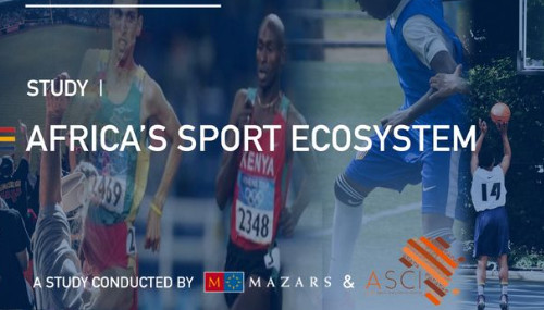 Ecosystème du sport en Afrique : l’industrie sportive au service du développement du continent Ecosystème du sport en Afrique : l’industrie sportive au service du développement du continent