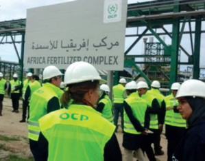 OCP : Centenaire de la grande machine à nourrir le monde OCP : Centenaire de la grande machine à nourrir le monde